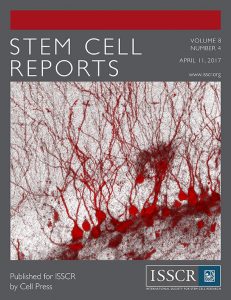 Stem cEll Cover