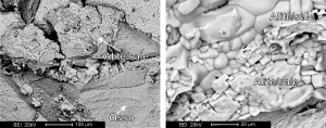 Immagini al microscopio elettronico a scansione di cristalli di sale sulle ossa di pesce studiate