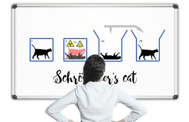 "Che cos'è il paradosso del gatto di Schrödinger"