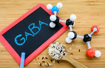 Gaba,Molecule,Is,Important,Neurotransmitter,In,The,Mammalian,Central,Nervous