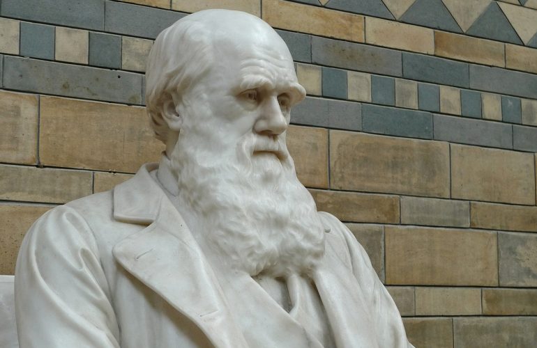 darwin