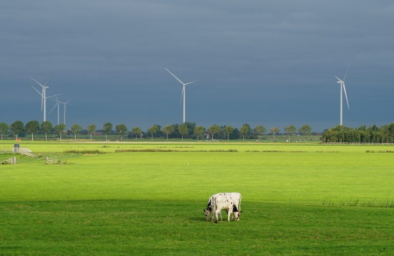 Foto di copertina di Carolien van Oijen da UnSplash