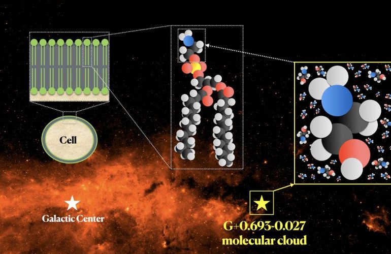 Un mattoncino delle membrane cellulari nel cuore della Via Lattea