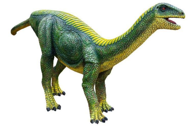 Mussaurus