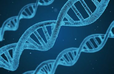 dna-1811955_1280