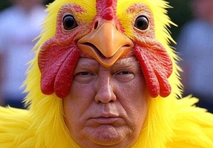 taco-trump