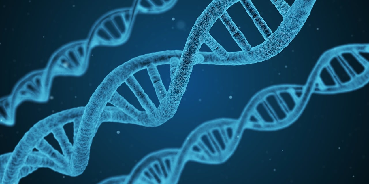 La doppia elica formato dall’acido desossiribonucleico, comunemente noto come DNA