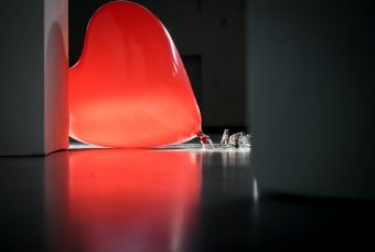 Malattie cardiovascolari: diagnosi, tipologie e consigli 
