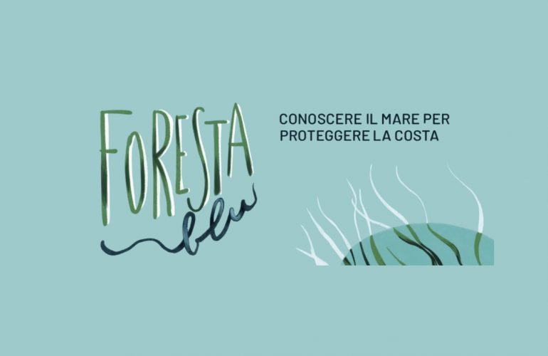 foresta-blu-logo