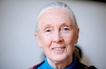 Jane_Goodall_2010