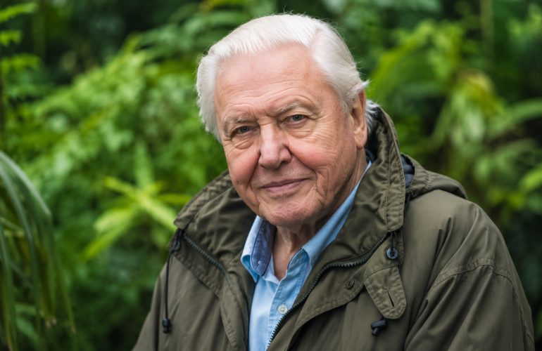 david-attenborough