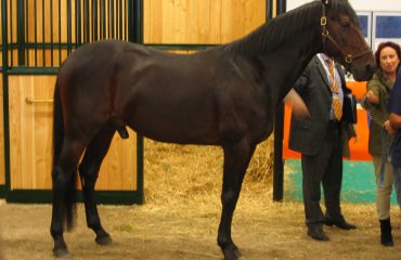 Varenne
