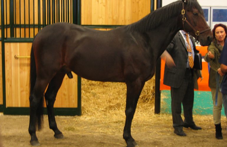 Varenne
