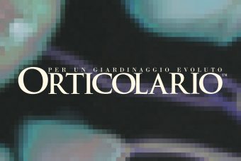 Orticolario 2026 / en rêverie Oltre la meraviglia, un sogno collettivo